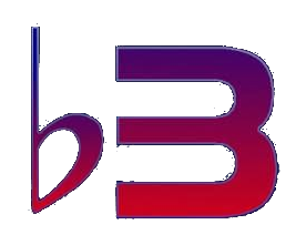 Born Three b3 Logo